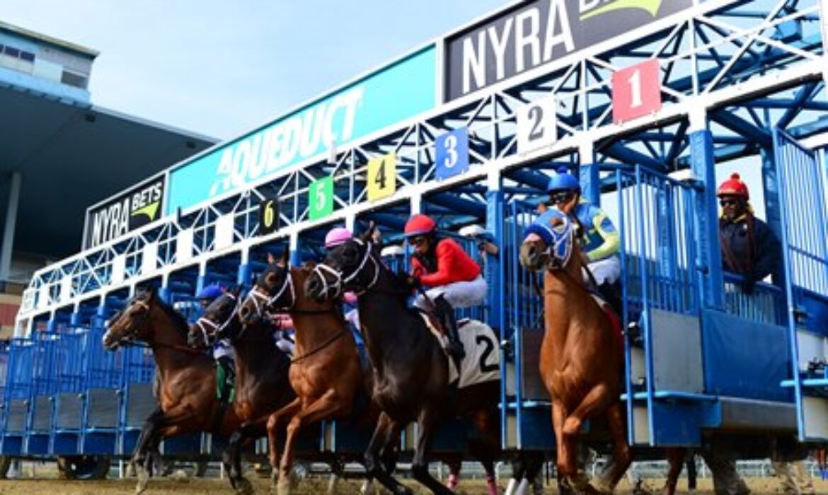 Horse Racing at Aqueduct in New York