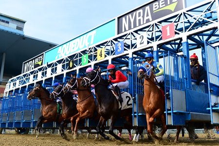 Horse Racing at Aqueduct in New York