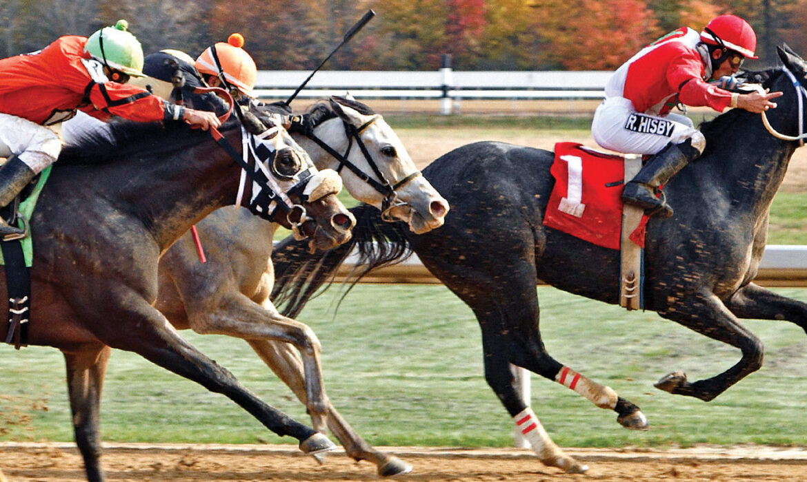 Horse racing at Mahoning Valley in Ohio