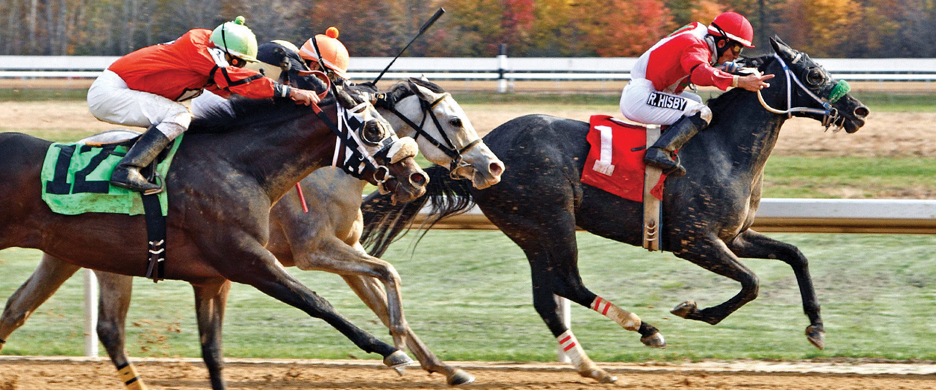 Horse racing at Mahoning Valley in Ohio