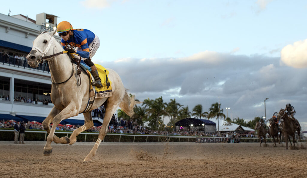 White Abarrio wins Pegasus World Cup