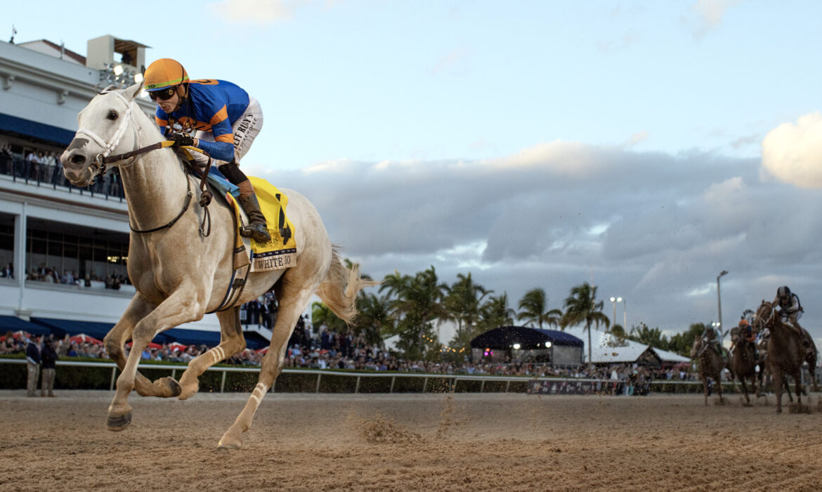 White Abarrio wins Pegasus World Cup