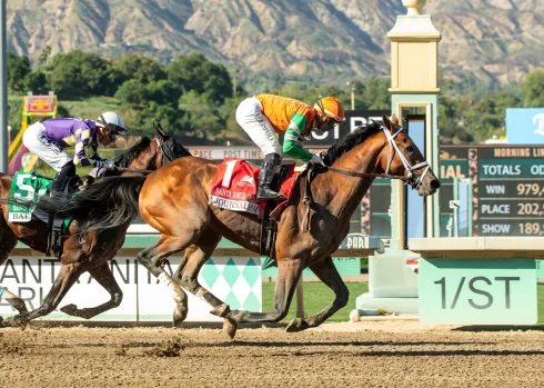 Journalism wins 2025 Santa Anita Derby