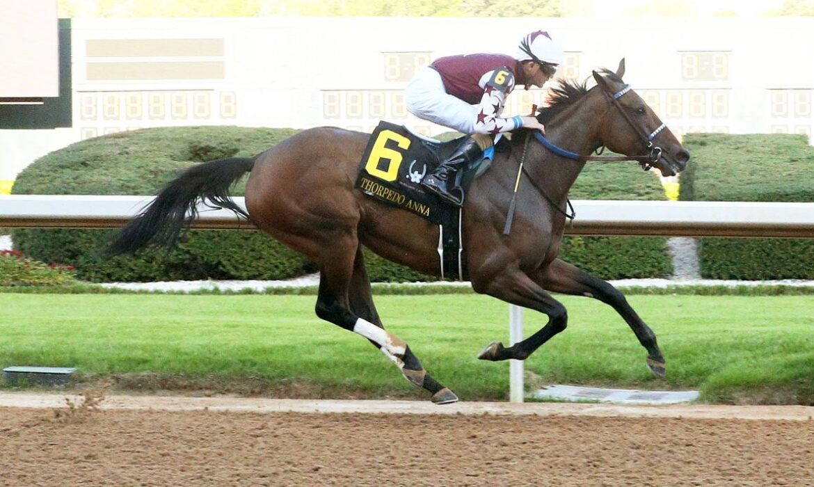 Thorpedo Anna wins the 61st Apple Blossom Handicap at Oaklawn Park