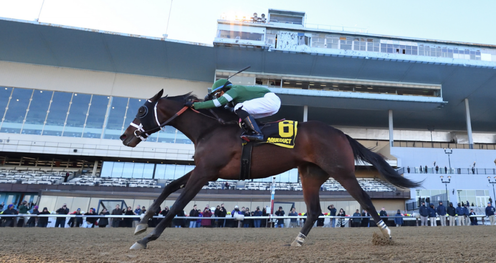 Captain Cook winning the Withers Stakes at Aqueduct