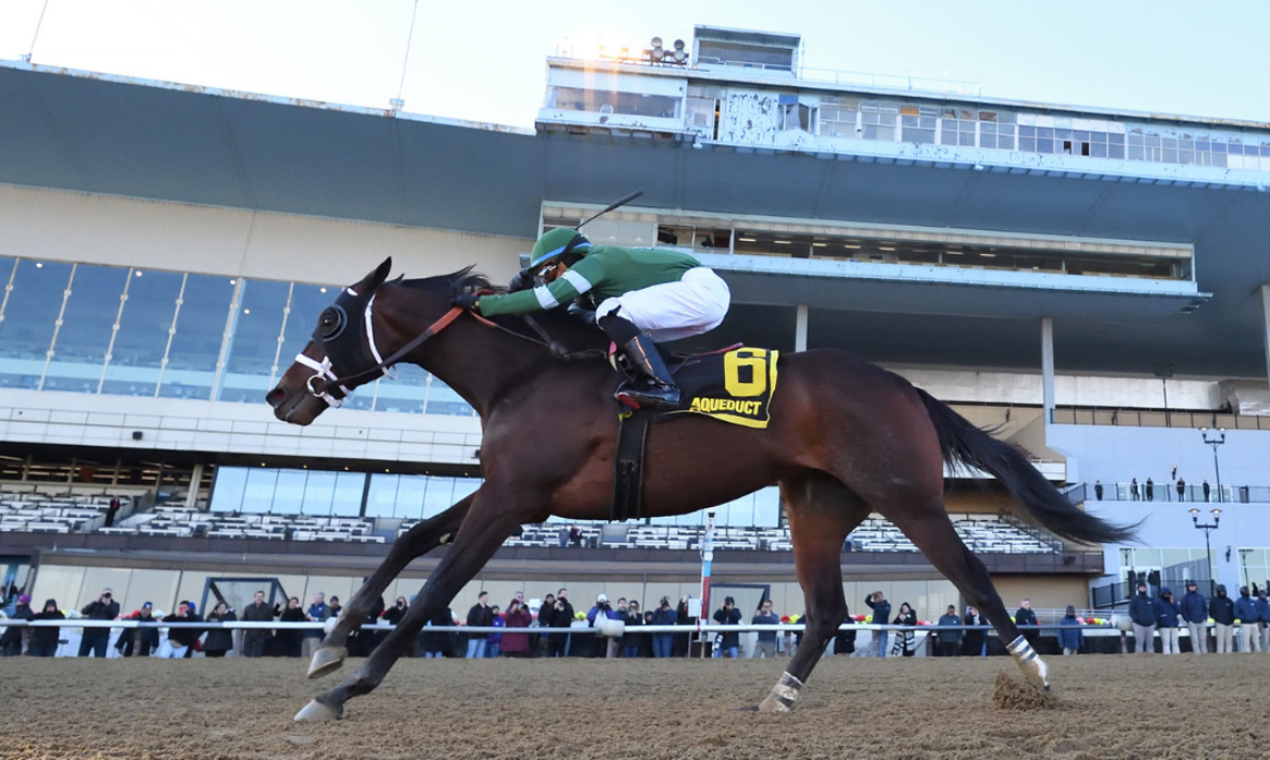 Captain Cook winning the Withers Stakes at Aqueduct