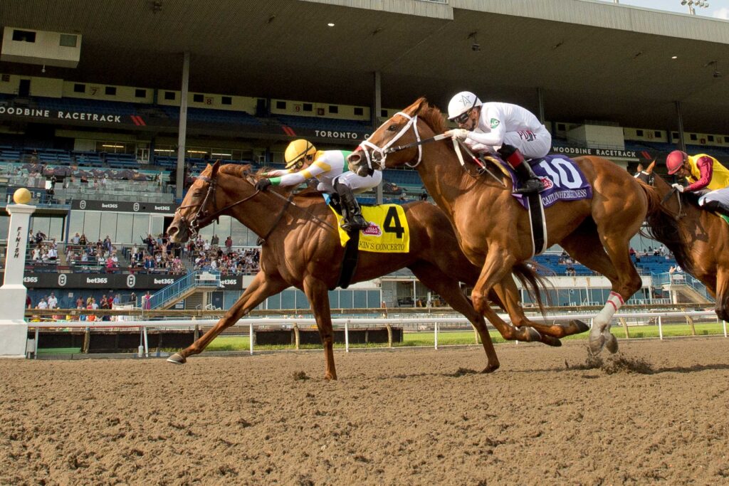Woodbine horse racing